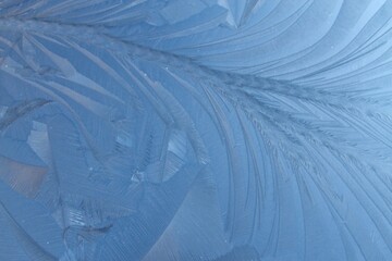 Abstract ice feather pattern background