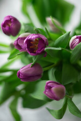 Background: a bouquet of purple tulips on gray, the concept of spring, holiday, mother's day.