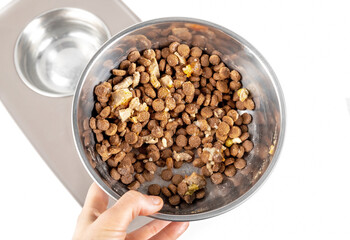 Dog food in bowl for large adult dog. Kibbles mixed with wet food for a picky eater. A hand is...