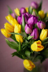 Fototapeta premium Background: a bouquet of yellow and purple tulips. The concept of spring, holiday, mother's day.