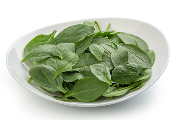 Fresh green spinach in the bowl