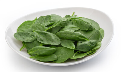 Fresh green spinach in the bowl