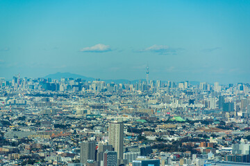 横浜ランドマークタワーの展望台から見る窓越しの風景　スカイツリー方面
