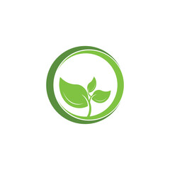 green Leaf ,organic  leaf Circle vector icon template