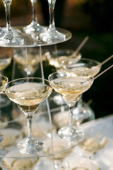 wedding glasses for wine and champagne