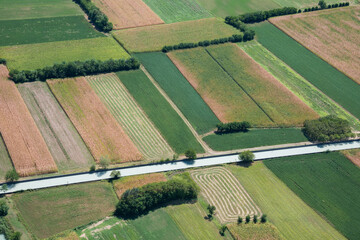 Foto aérea de campos de cultivo en la zona agrícola de Udine, en Italia