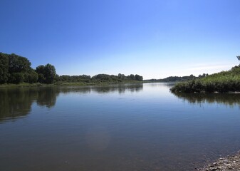 Quiet surface of the river. Beautiful cloudless warm summer day. Forest in the background. Reflection of trees in water