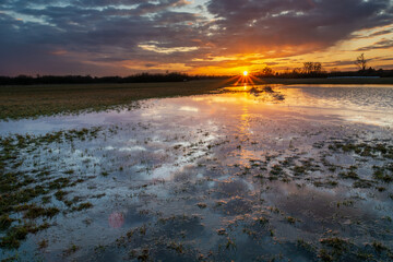 A wet meadow in eastern Poland during sunset