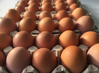 Brown chicken eggs in craft packaging