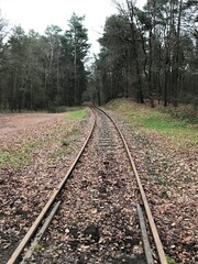 Fototapeta premium Bahngleis
