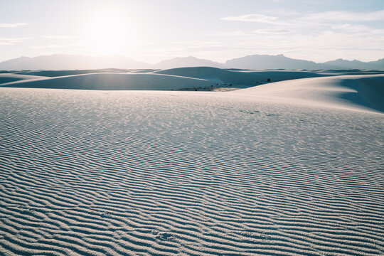 Sandy Dunes In White Sands National Park