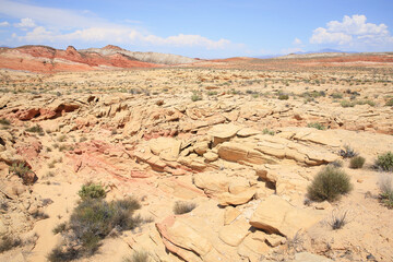 Fototapeta premium Valley of Fire State Park in Nevada, USA