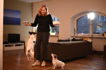 Alltag mit Hund, Foto: Jan Knoff