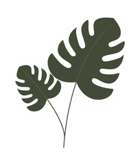 two plant leaves