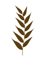 aesthetics plant icon