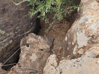 Big rocks in the mountains of Algeria Tiaret