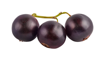 Blackcurrant  isolated on white background with clipping path