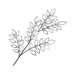 Tree branch outline floral sketch isolated vector