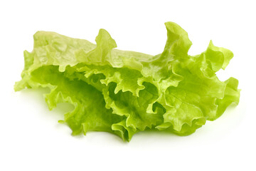 Lettuce Salad leaf, isolated on white background. High resolution image