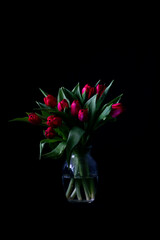 bouquet of tulips in vase on black background