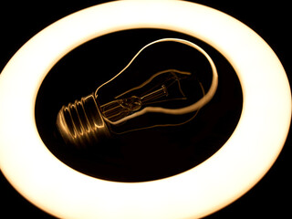 Incandescent lamp inside LED ring light source Concept photography, the light takes the form of an incandescent lamp