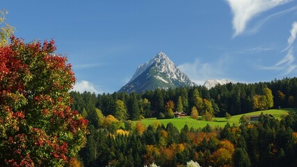 Fototapeta premium autumn in the mountains