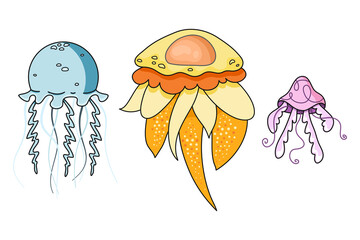 Cute hand drawn vector collection of jellyfish isolated on white background. Colorful and creative marine fishes for package, banner, print, fabric, card, gift, wrapping paper, wallpaper, textile, web