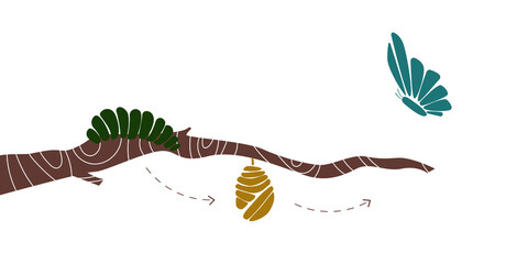 vector drawing of a caterpillar in a butterfly, on a white background