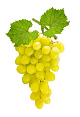 Grape isolated on white background with clipping path
