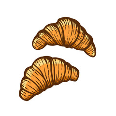 Hand drawn vector illustration of croissants isolated on white background. Pastry sweets. For design menu cafe, label and packaging