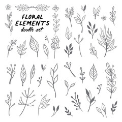 Floral doodle design elements. Hand drawn decorative leaves and wreaths. Flower ornament dividers. Tree branches with leaf and flowers.