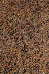 texture of brown soil for planting in the field