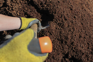 person working the soil in the field with a shovel