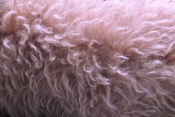 texture pelo soffice