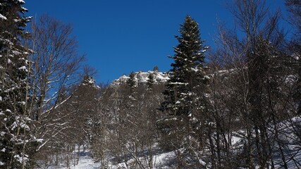 massif rocheux enneigé en hiver.
