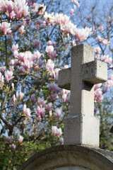 old stone cross, catholic religion symbol with magnolia flower background