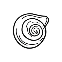 Round seashell close-up on a white background. Black and white outline vector illustration shell for your design.
