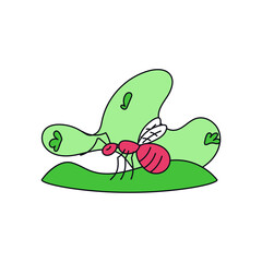 Isolated big-ass ant. Colombian food - Vector illustration