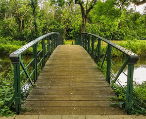 Fototapeta na wymiar bridge in the forest