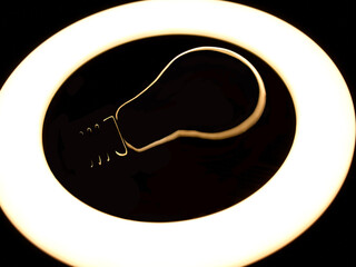 Incandescent lamp inside LED ring light source Concept photography, the light takes the form of an incandescent lamp