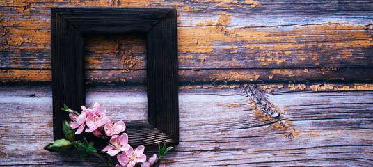 Old wooden frame with spring flowers and leaves on rustic wooden background. Spring composition with copy space.