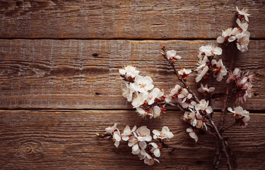 Obraz na płótnie Canvas Garden flowers over dark wooden table background. Backdrop with copy space. Frame of apple branch on rustic wooden background. Spring flowers. Spring background. Top view.