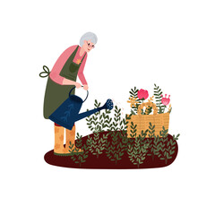 Old woman in garden. Senior gardening with plants and herbs. Farmer watering her flowers with watering can. Grandmother is Horticulture. Female work outside in summer. Basket with flowers.