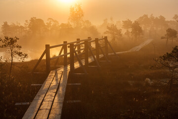 Nature trail bridge in fog at sunrise. Sunrise over the forest. Foggy morning at sunrise.