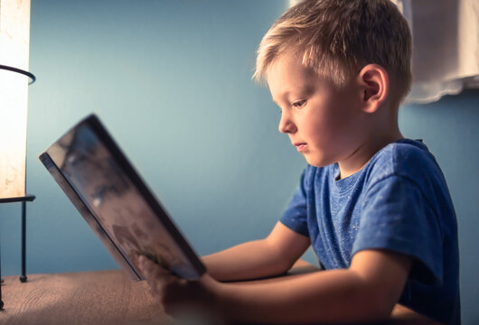 Little Five Year Old Boy Reading Book 