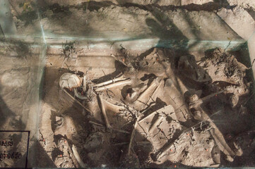 Freigelegte Skelette von Opfern der Roten Khmer,  Mahnmal gegen den Massenmord in Kambodscha