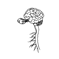human brains with eyes, organs of vision and nervous system, vector illustration with black ink contour lines isolated on a white background in doodle and hand drawn style