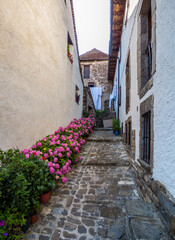 Calle empedrada y decorada con macetas de flores de color rosa en una aldea de montaña del Pirineo español