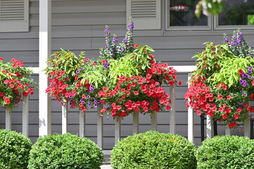 Flowers on Porch Railing