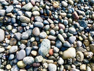Cool background, wet beach stones during low tide showing variety of sizes, colors and textures. 

